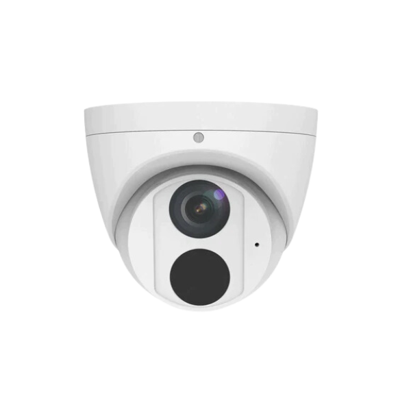 PoE IP Cameras